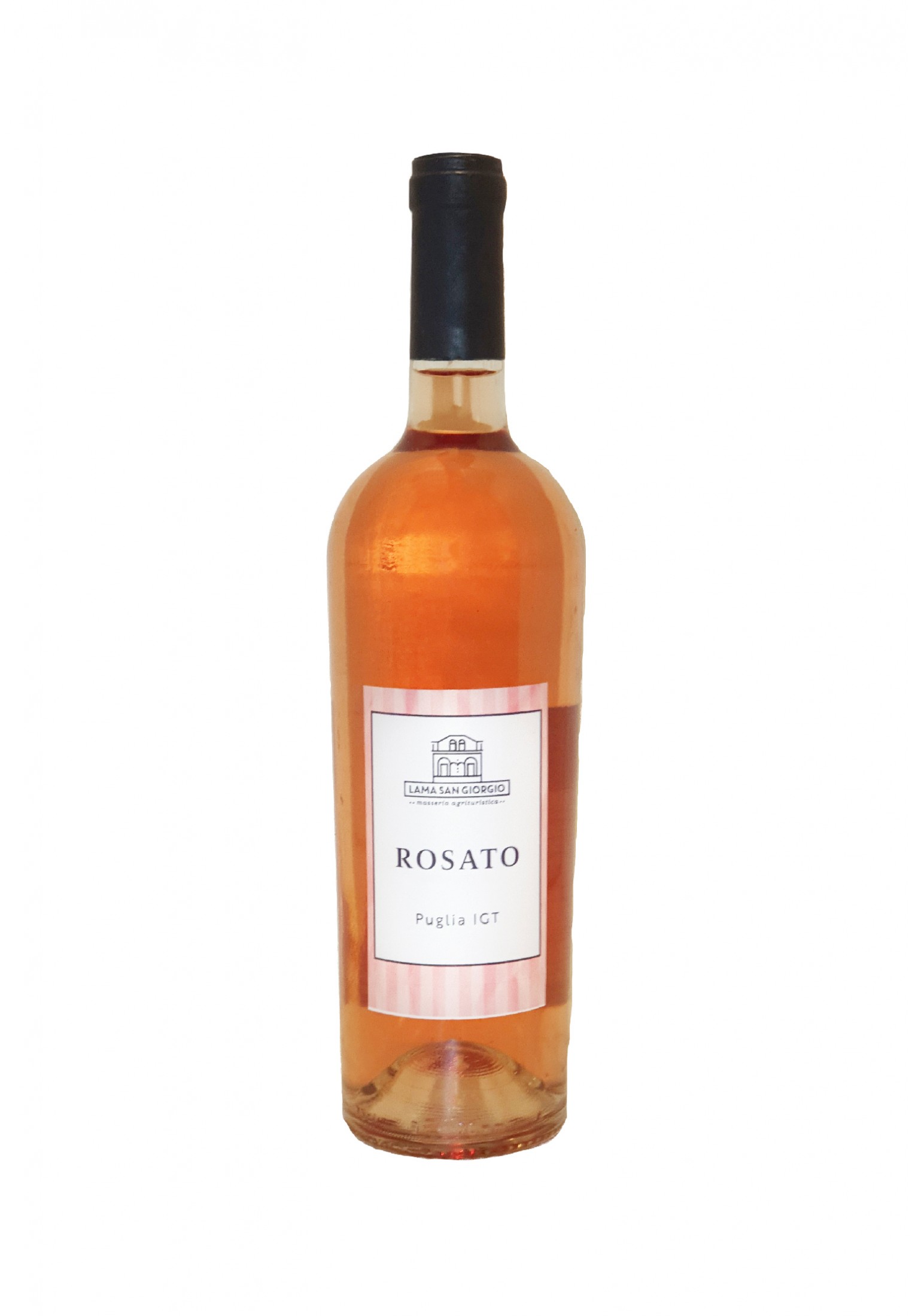 Sparkling rosato wine IGT Puglia - Buy Online